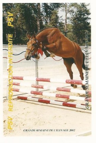 LORRY DU LOIR